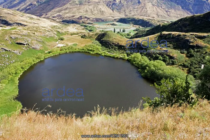 : New Zealand - Diamond Lake from walking track in : New Zealand - Diamond Lake from walking track in