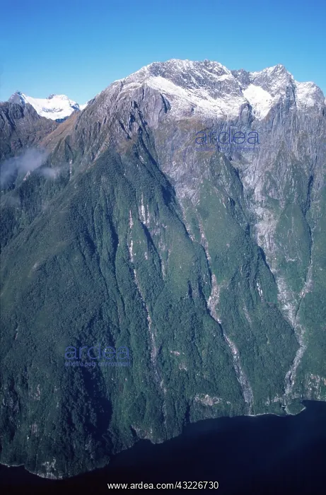 : New Zealand, Fiordland Coast near Milford : New Zealand, Fiordland Coast near Milford