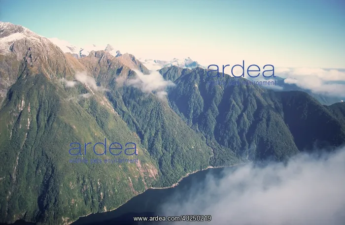 : New Zealand, Fiordland Coast near Milford : New Zealand, Fiordland Coast near Milford