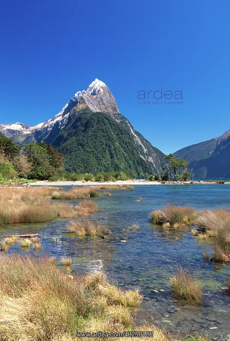: New Zealand, Fiordland National Park : New Zealand, Fiordland National Park