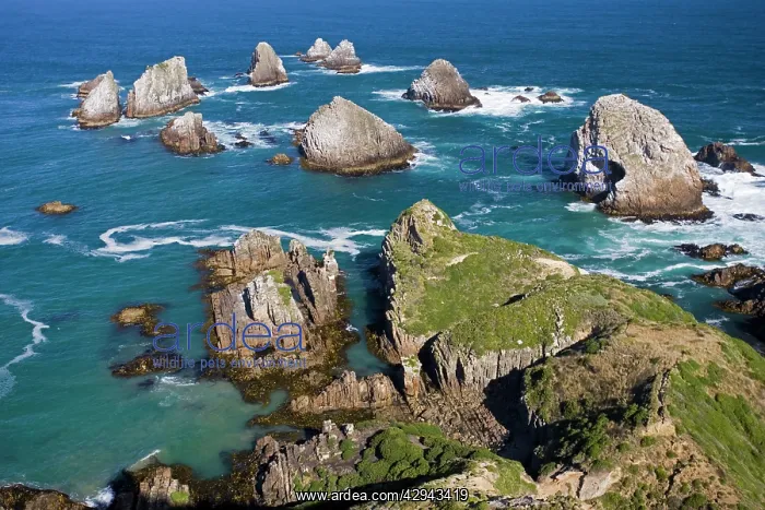 : New Zealand - Headland with offshore rocks at Nugget Point : New Zealand - Headland with offshore rocks at Nugget Point