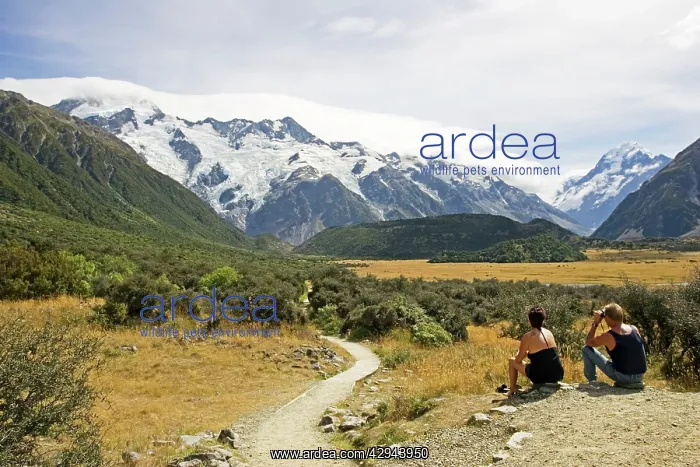 : New Zealand - two hikers take a rest to enjoy scenery : New Zealand - two hikers take a rest to enjoy scenery