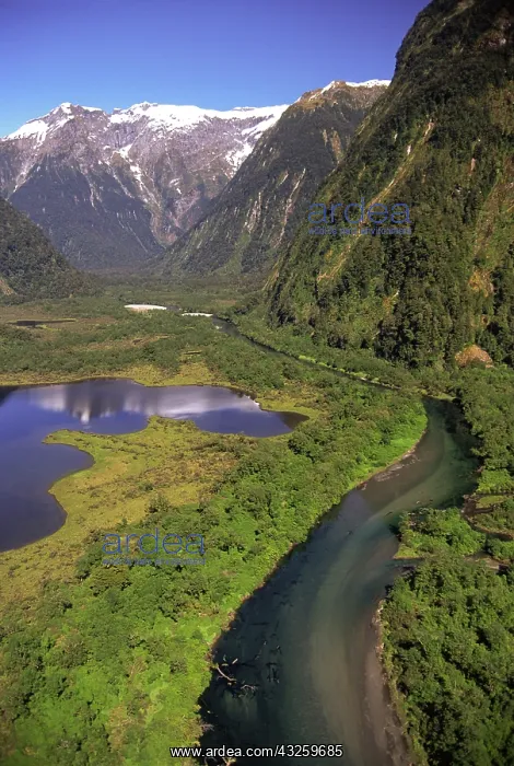 : New Zealand, Lake Brown & Arthur River : New Zealand, Lake Brown & Arthur River