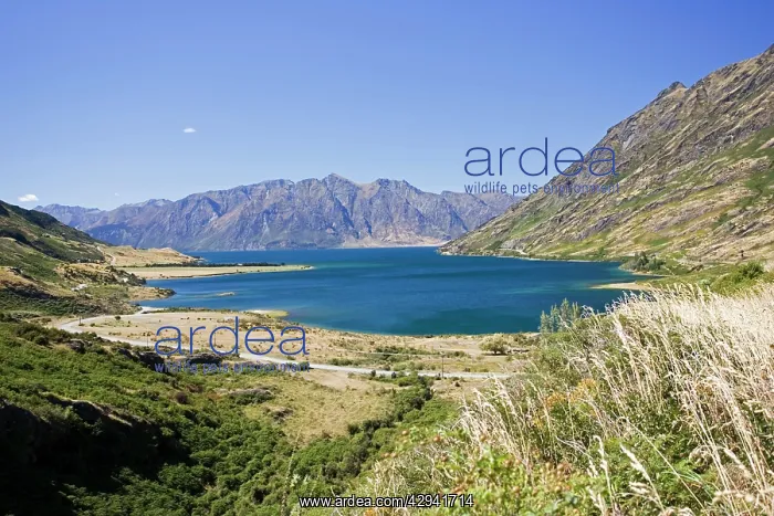 : New Zealand - Lake Wanaka formed by glacial action : New Zealand - Lake Wanaka formed by glacial action