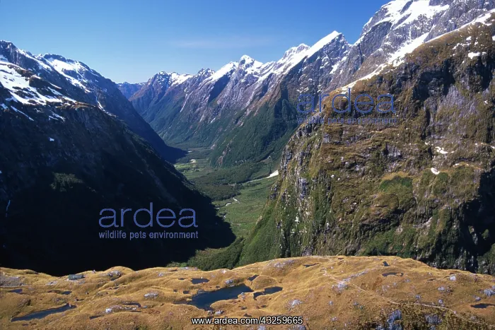  : New Zealand, Mackinnon Pass (& shelter)