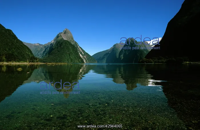 : New Zealand - Milford Sound Fiordland National : New Zealand - Milford Sound Fiordland National