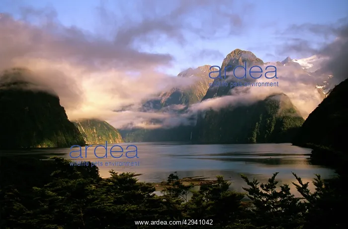 : New Zealand - Milford Sound during a storm : New Zealand - Milford Sound during a storm