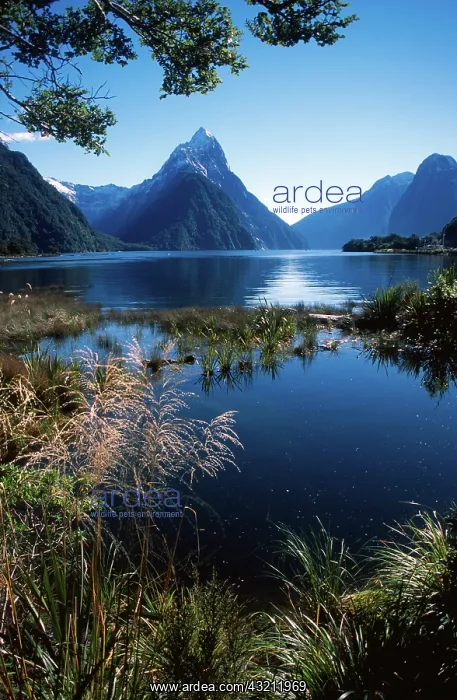 : New Zealand, Mitre Peak, Milford Sound : New Zealand, Mitre Peak, Milford Sound