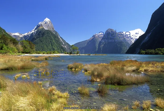 : New Zealand, Mitre Peak & Milford Sound : New Zealand, Mitre Peak & Milford Sound