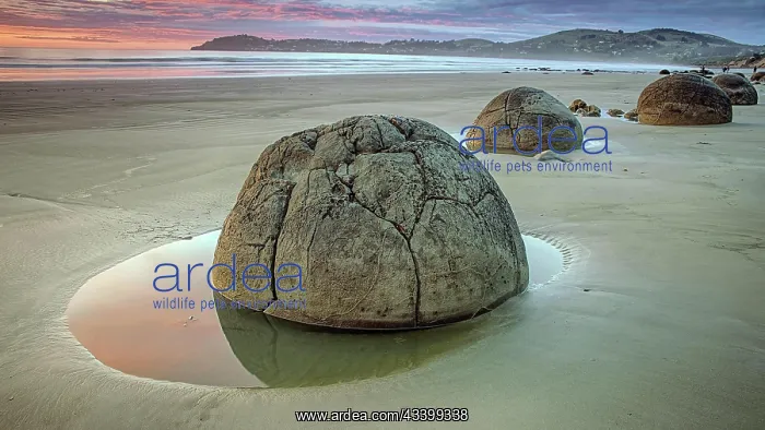 : New Zealand, Moeraki Boulders, Otago, Moeraki, stone : New Zealand, Moeraki Boulders, Otago, Moeraki, stone
