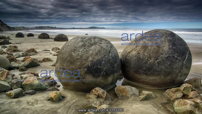 : New Zealand, Moeraki Boulders, Otago, Moeraki, stone : New Zealand, Moeraki Boulders, Otago, Moeraki, stone
