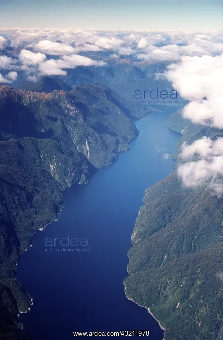 : New Zealand, Nancy Sound, Fiordland - Aerial : New Zealand, Nancy Sound, Fiordland - Aerial
