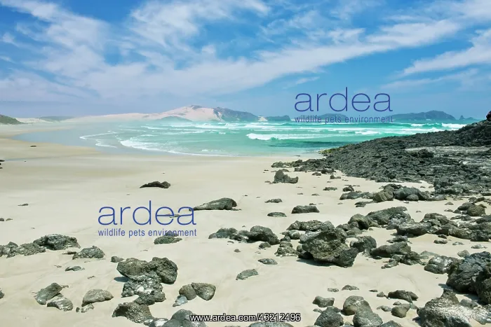 : New Zealand, North Island, Cape Reinga : New Zealand, North Island, Cape Reinga