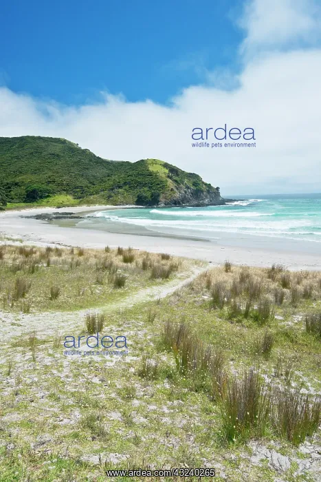 : New Zealand, North Island, Cape Reinga : New Zealand, North Island, Cape Reinga