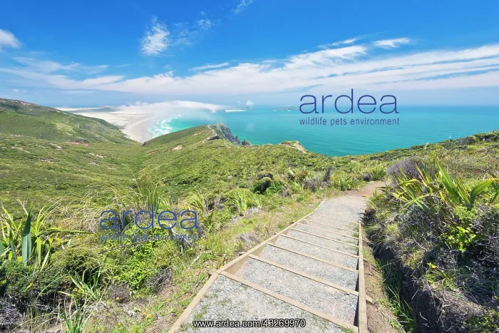 : New Zealand, North Island, Cape Reinga : New Zealand, North Island, Cape Reinga