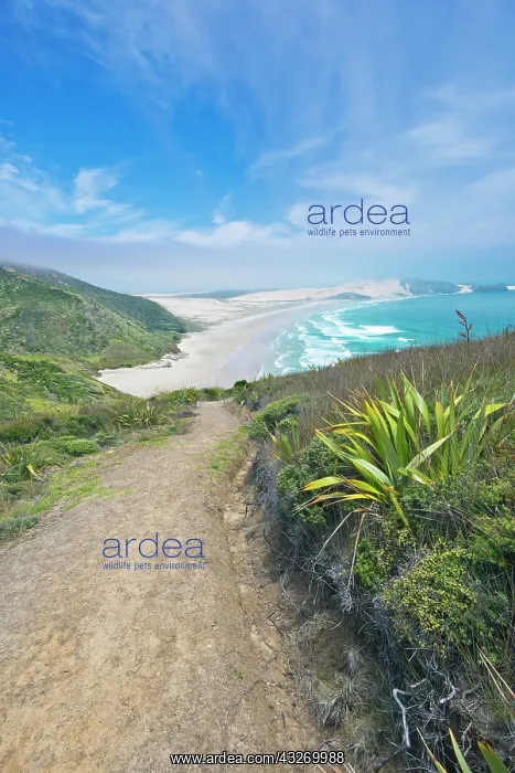: New Zealand, North Island, Cape Reinga : New Zealand, North Island, Cape Reinga