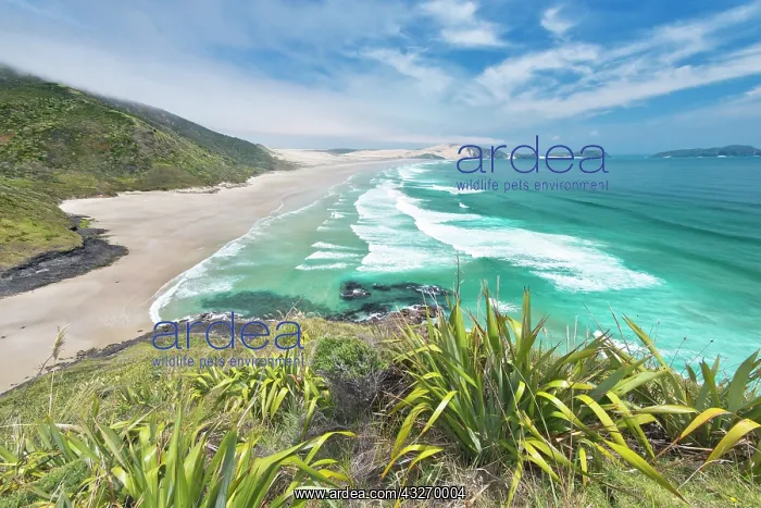 : New Zealand, North Island, Cape Reinga : New Zealand, North Island, Cape Reinga