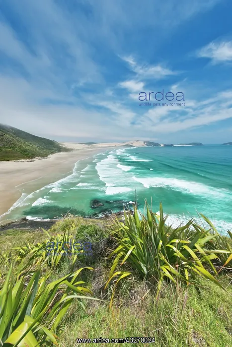 : New Zealand, North Island, Cape Reinga : New Zealand, North Island, Cape Reinga