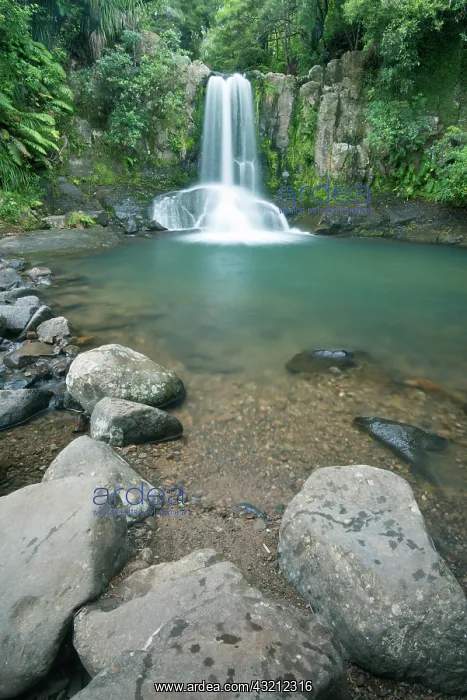 : New Zealand, North Island, Coromandel Peninsula : New Zealand, North Island, Coromandel Peninsula