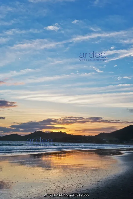 : New Zealand, North Island, Coromandel Peninsula : New Zealand, North Island, Coromandel Peninsula