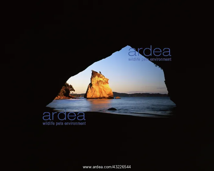 : New Zealand, North Island, Coromandel Peninsula : New Zealand, North Island, Coromandel Peninsula