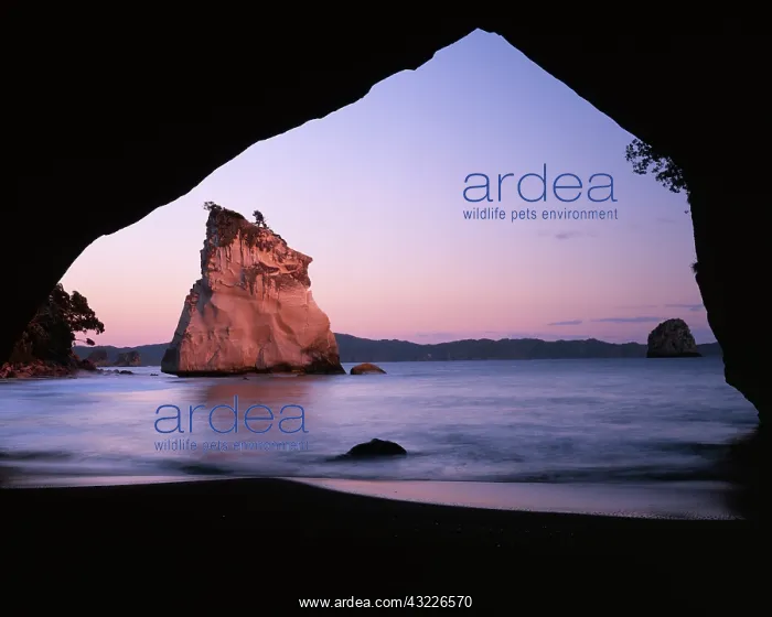 : New Zealand, North Island, Coromandel Peninsula : New Zealand, North Island, Coromandel Peninsula