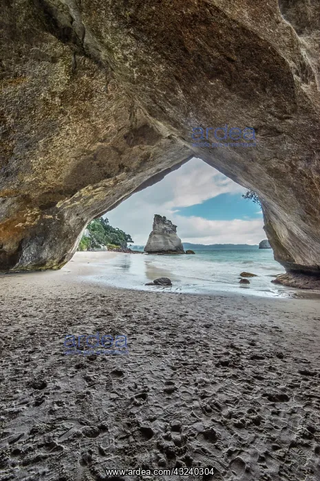 : New Zealand, North Island, Coromandel Peninsula : New Zealand, North Island, Coromandel Peninsula