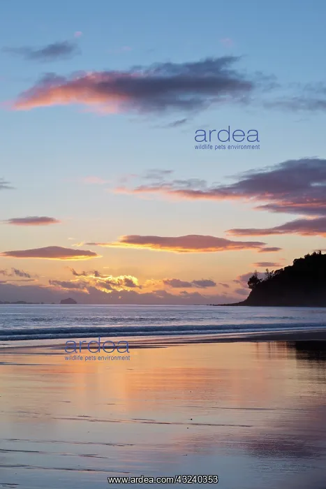: New Zealand, North Island, Coromandel Peninsula : New Zealand, North Island, Coromandel Peninsula