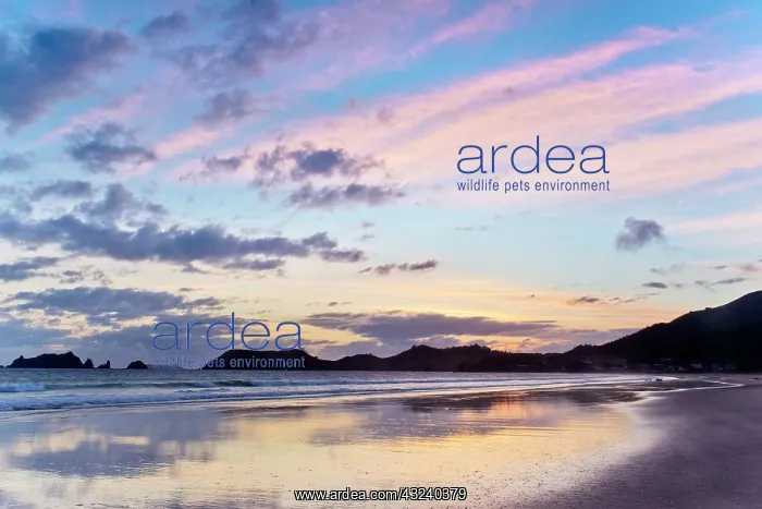 : New Zealand, North Island, Coromandel Peninsula : New Zealand, North Island, Coromandel Peninsula