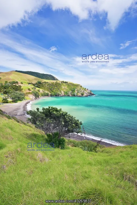 : New Zealand, North Island, Coromandel Peninsula : New Zealand, North Island, Coromandel Peninsula