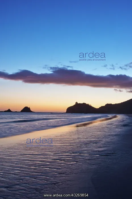 : New Zealand, North Island, Coromandel Peninsula : New Zealand, North Island, Coromandel Peninsula