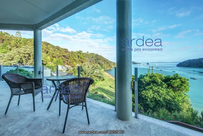 : New Zealand, North Island, Paihia, Balcony : New Zealand, North Island, Paihia, Balcony