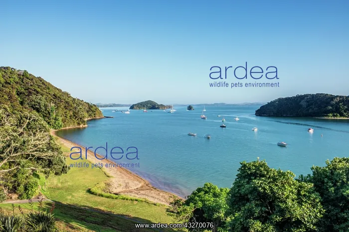 : New Zealand, North Island, Paihia, Balcony : New Zealand, North Island, Paihia, Balcony