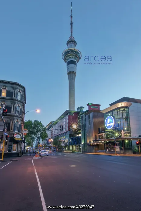 : New Zealand, North Island, Sky City and : New Zealand, North Island, Sky City and