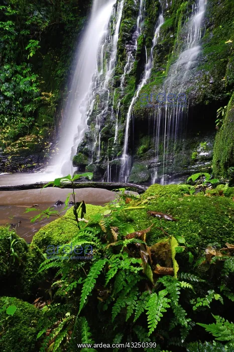 : New Zealand, Otago, Catlins. Views along : New Zealand, Otago, Catlins. Views along