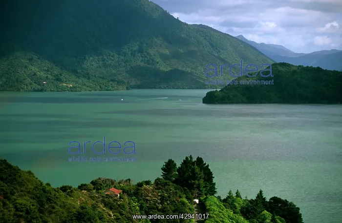 : New Zealand - Pelorus Sound Marlborough : New Zealand - Pelorus Sound Marlborough