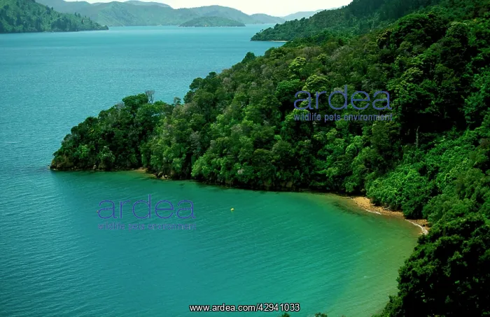 : New Zealand - Queen Charlotte Sound Marlborough Sounds : New Zealand - Queen Charlotte Sound Marlborough Sounds