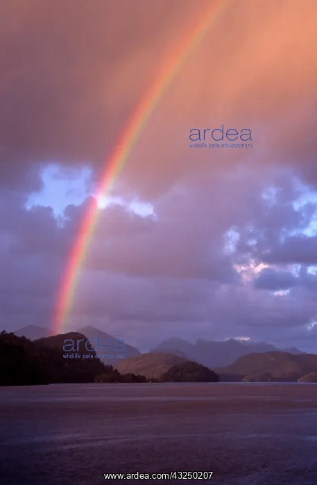  : New Zealand, Rainbow over Cascade Cove