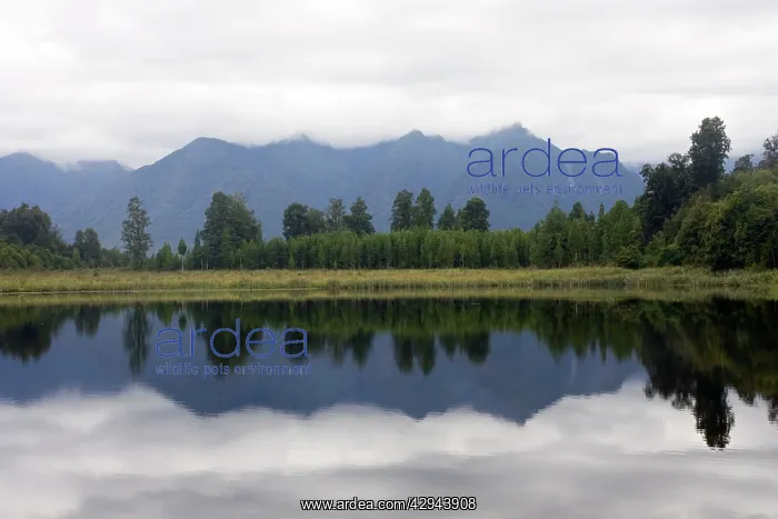 : New Zealand - Reflections of southern alps in Lake Matheson : New Zealand - Reflections of southern alps in Lake Matheson