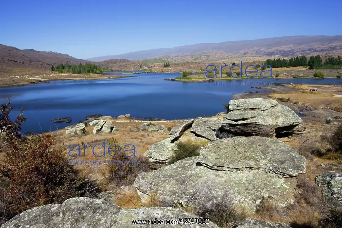  : New Zealand - Schist rock outcrops in Flat Top