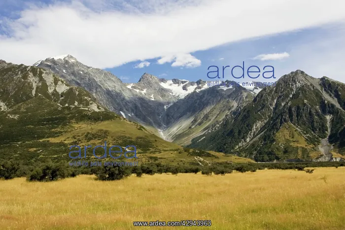 : New Zealand - snow covered mountains in Aoraki : New Zealand - snow covered mountains in Aoraki