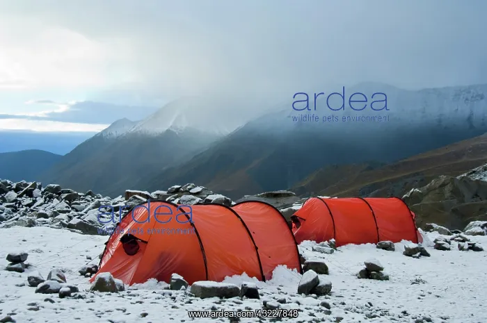 : New Zealand, South Island, Arrowsmith Range : New Zealand, South Island, Arrowsmith Range