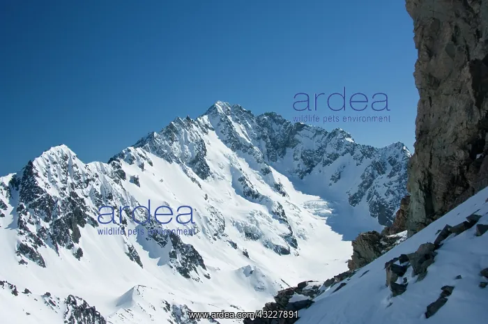 : New Zealand, South Island, Arrowsmith Range : New Zealand, South Island, Arrowsmith Range