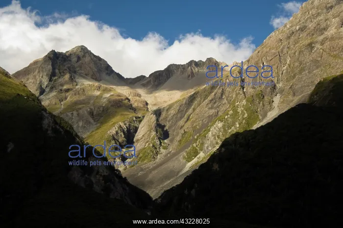 : New Zealand, South Island, Arthurs Pass : New Zealand, South Island, Arthurs Pass