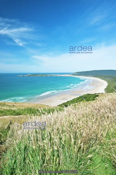 : New Zealand, South Island, Catlins, Tautuku : New Zealand, South Island, Catlins, Tautuku