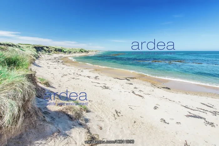 : New Zealand, South Island, Catlins, Waipapa : New Zealand, South Island, Catlins, Waipapa