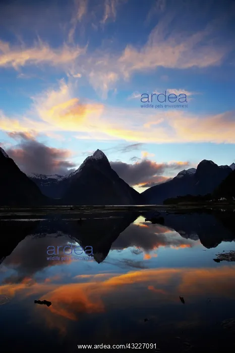 : New Zealand, South Island, Fiordland, Sunset : New Zealand, South Island, Fiordland, Sunset