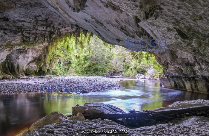 : New Zealand, South Island, Kahurangi National : New Zealand, South Island, Kahurangi National