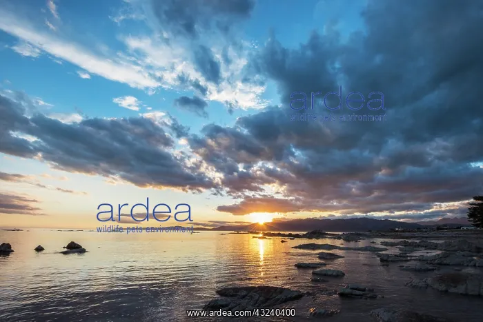 : New Zealand, South Island, Kaikoura, South : New Zealand, South Island, Kaikoura, South