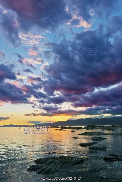 : New Zealand, South Island, Kaikoura, South : New Zealand, South Island, Kaikoura, South